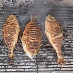 Authentic Stone House Lola マカルスカ